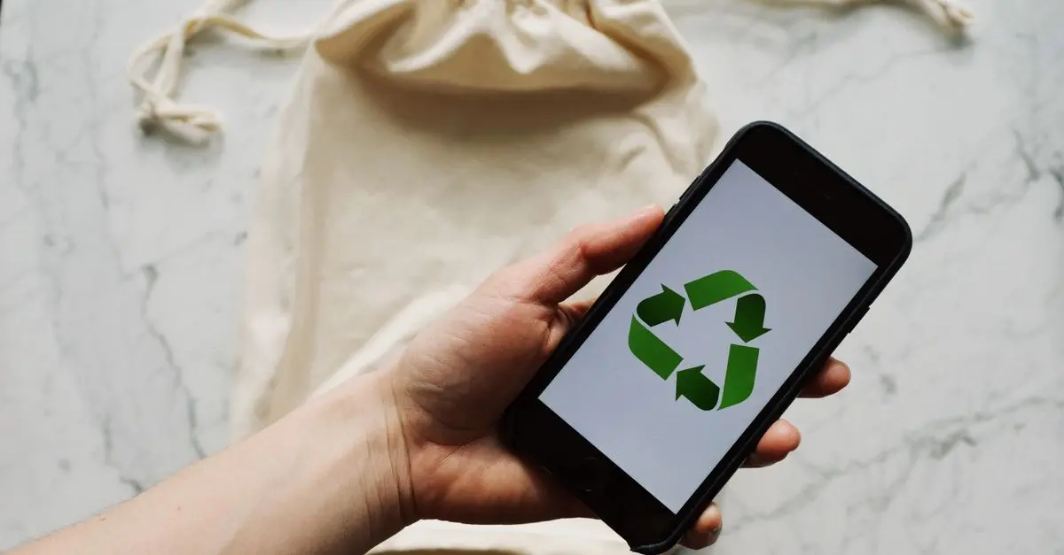 Tout savoir sur le développement durable dans le retail